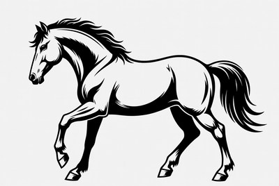 Black and white horse illustration