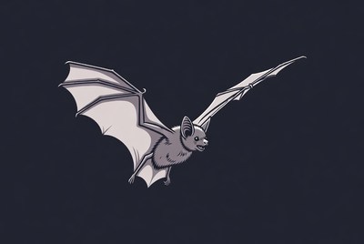 Flying bat illustration