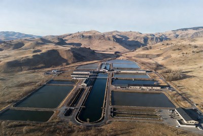 Aerial View of Fish Farm Ponds