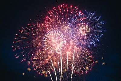 Colorful Fireworks Exploding in Night Sky
