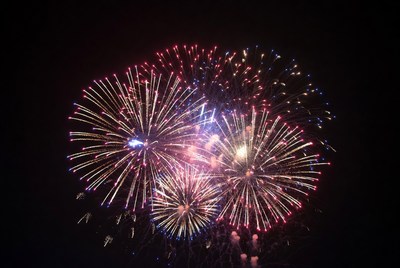 Colorful Fireworks Exploding in Night Sky
