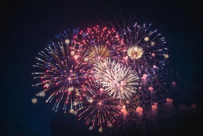 Colorful Fireworks Exploding in Night Sky