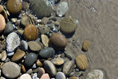 Colorful pebbles in shallow water
