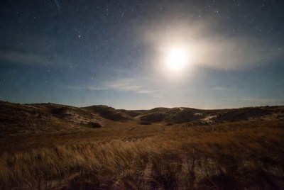 Full Moon Over Grassy Dunes