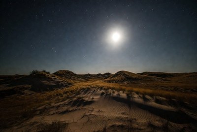 Moonlit Sandy Dunes at Night