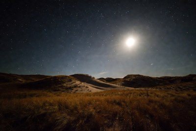 Moonlit dunes under starry night sky