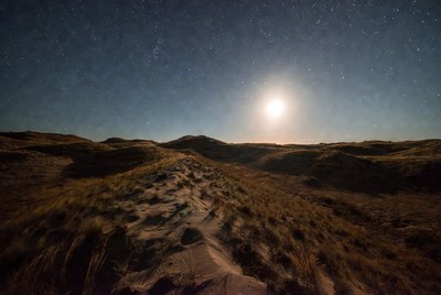 Moonlit Sand Dunes at Night