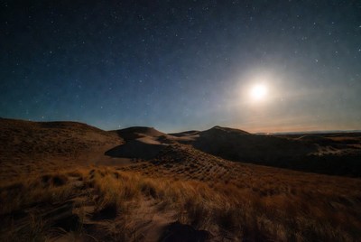 Moonlit Sand Dunes at Night