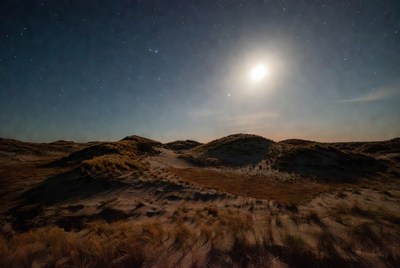 Moonlit Sand Dunes at Night