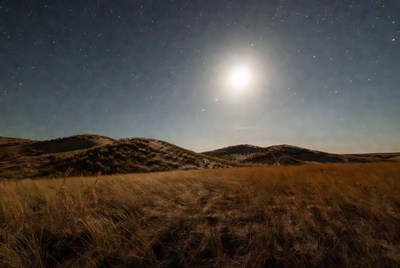 Moonlit starry sky over grassy hills