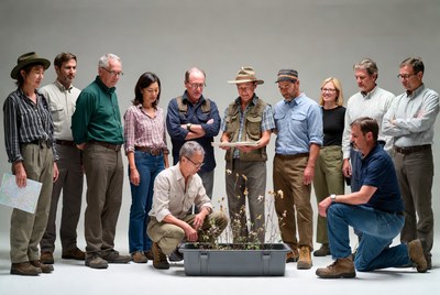 Group examining plants in gray planter