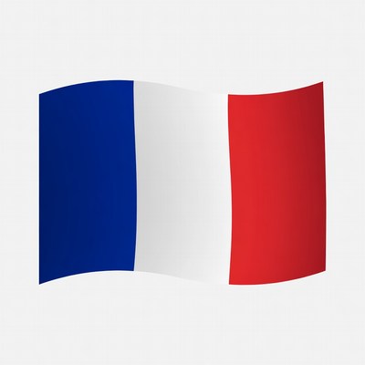 Waving French Flag