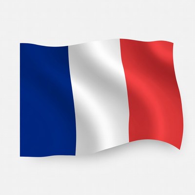 Waving French Flag