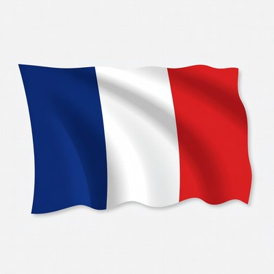 French Flag Waving