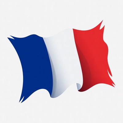 Waving French Flag Illustration
