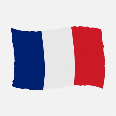 French Flag Waving