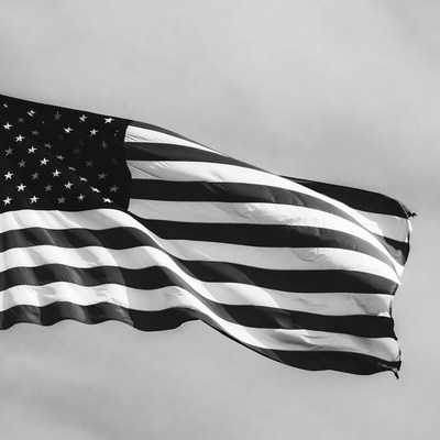 Waving American Flag Black and White