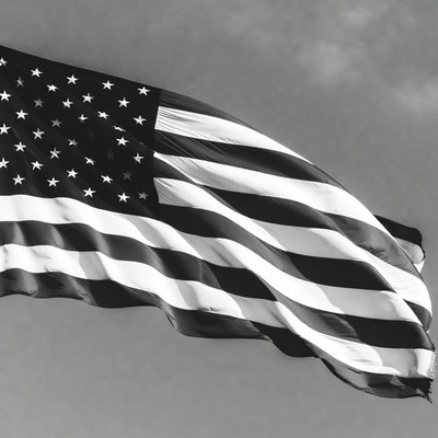 Waving American Flag Black and White