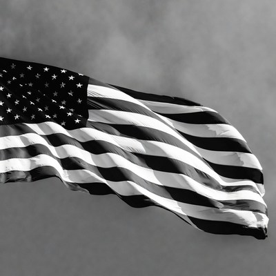 Waving American Flag Black and White