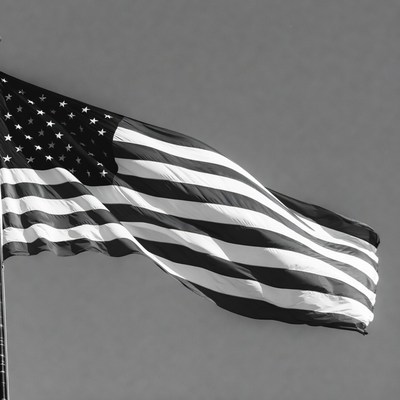 Waving American Flag Black and White
