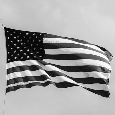 Waving American Flag Black and White