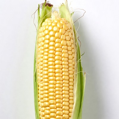 Fresh corn on the cob