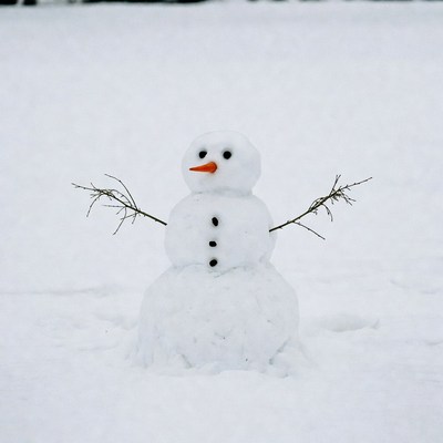 Snowman with carrot nose in snow