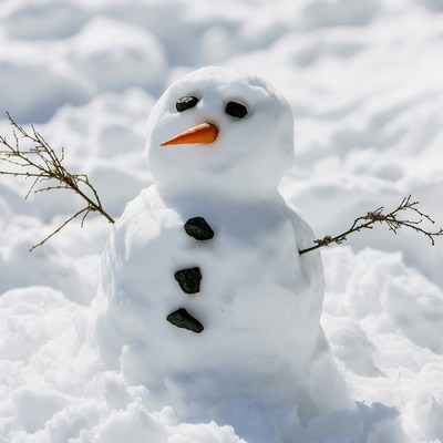 Snowman with carrot nose in snow