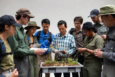 Group examining plants in trays