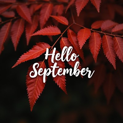 Hello September Red Autumn Leaves