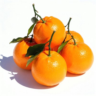 Fresh Oranges with Leaves