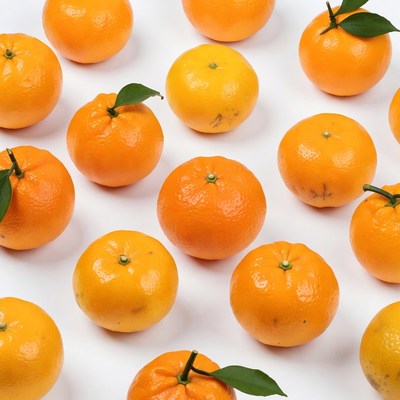 Fresh Oranges on White Background