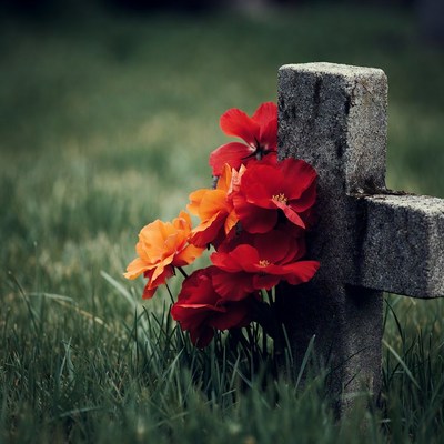 Red and Orange Flowers on Stone Cross