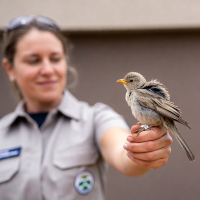 Woman holding baby bird