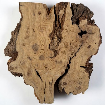 Irregular Burl Wood Slab