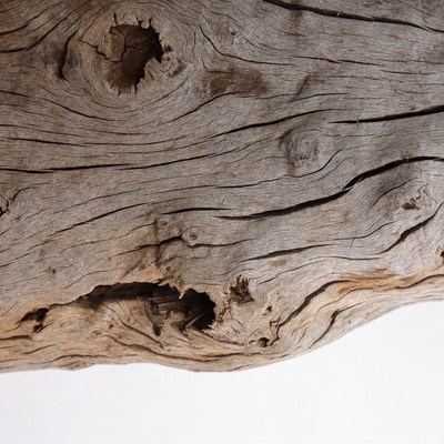 Close-up of weathered driftwood texture