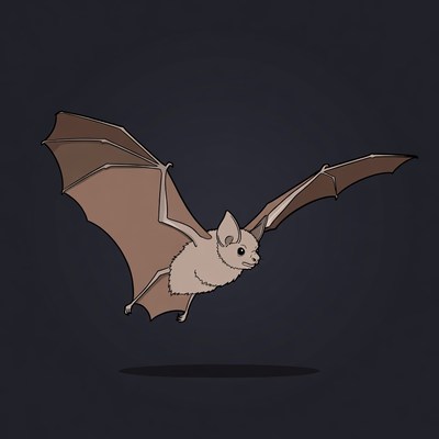 Flying Cartoon Bat Illustration