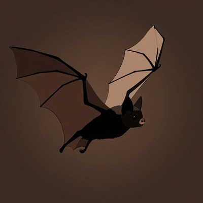 Flying bat illustration