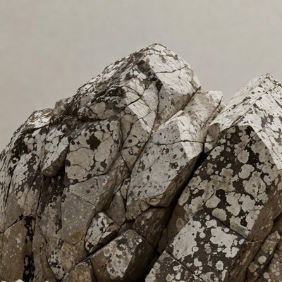 Rugged lichen-covered rock formation