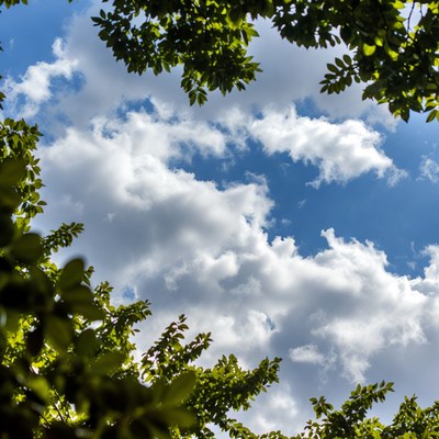 Green leaves framing blue sky clouds