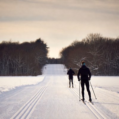 Cross-country skiers on snowy trail