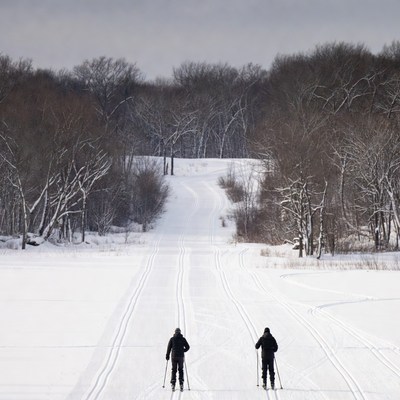 Two Men Cross-Country Skiing Snowy Trail