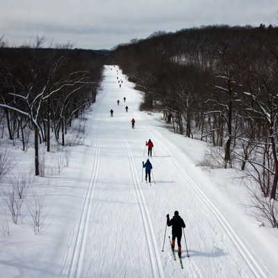 Cross-country skiers on snowy trail