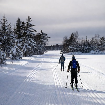 Two cross-country skiers on snowy trail