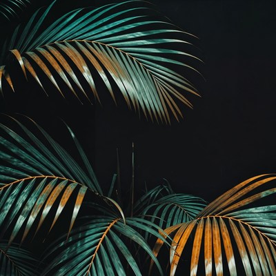 Vibrant Palm Leaves on Black Background