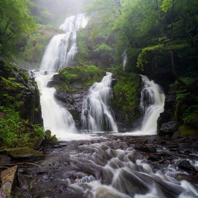 Majestic Waterfall in Misty Forest