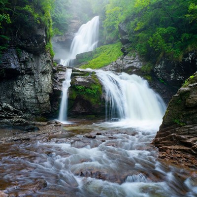 Majestic Waterfall in Lush Green Forest