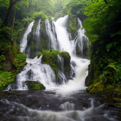 Majestic Waterfall in Lush Forest
