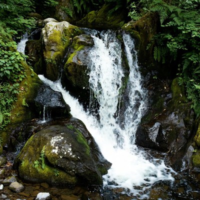 Mossy waterfall in lush green forest