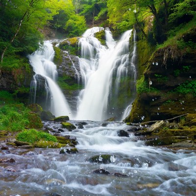 Majestic waterfall in lush green forest